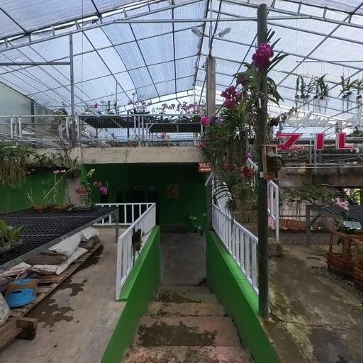 Kebun Anggrek Pesona Bunga